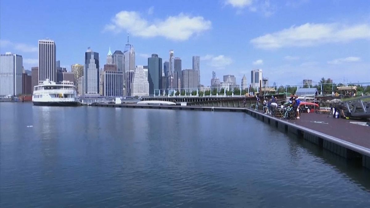 La iniciativa voluntaria un billón de ostras en Nueva York