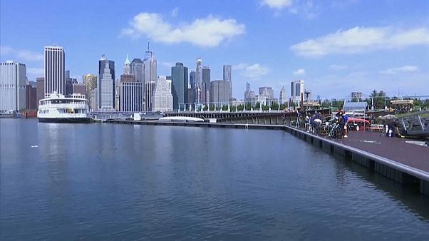 La iniciativa voluntaria un billón de ostras en Nueva York La iniciativa voluntaria un billón de ostras en Nueva York