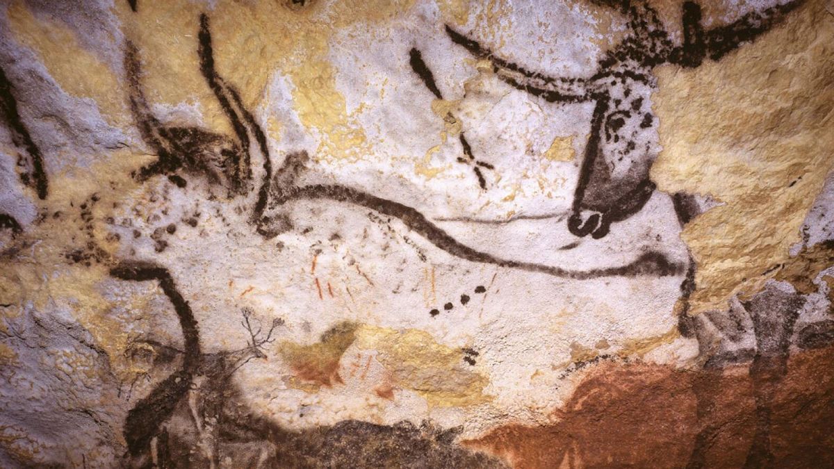 Représentation de taureaux présents dans la grotte de Lascaux en Dordogne, dans le sud-ouest de la France