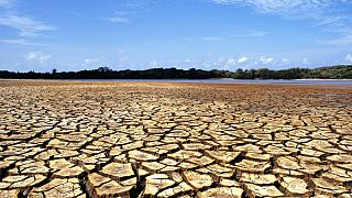 Landscape of a dry, cracked soil with water and vegetation in the background in Ilha do Caju, state of Maranhão, Brazil.