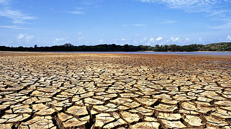 Landscape of a dry, cracked soil with water and vegetation in the background in Ilha do Caju, state of Maranhão, Brazil.
