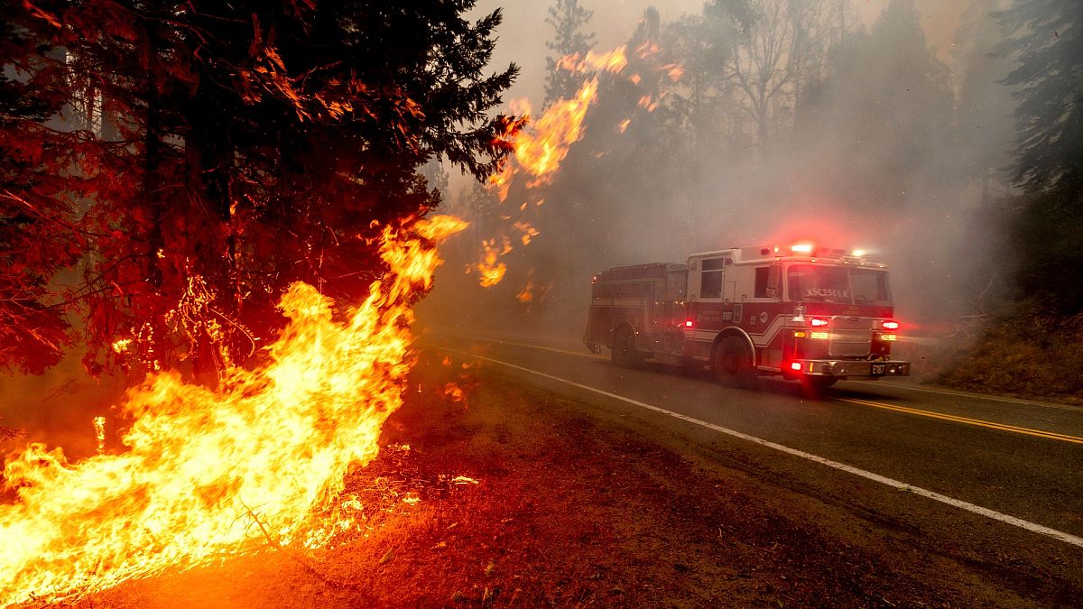 ABD'nin batı eyaletlerinde orman yangınları