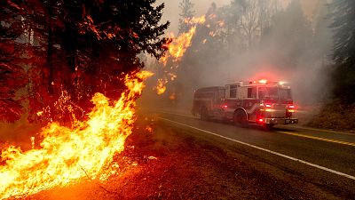 ABD'nin batı eyaletlerinde orman yangınları