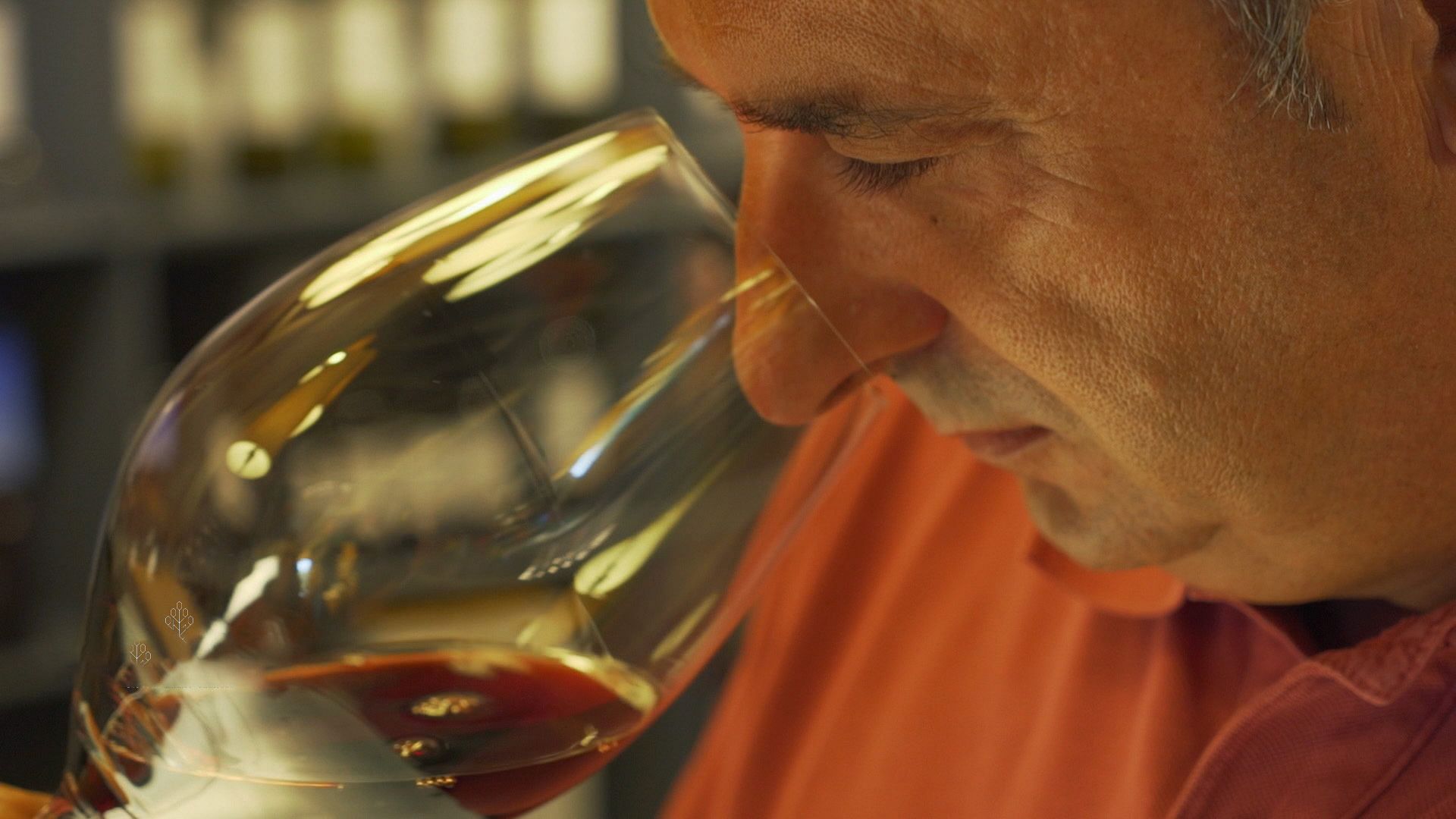 The celebrated wines of Spain and the unique regions that create them