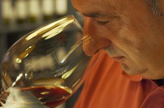 The celebrated wines of Spain - and the unique regions that create them