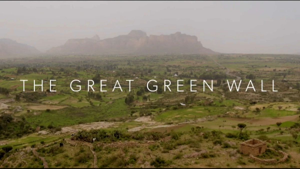 The Great Green Wall: a journey to the front line of  the climate crisis.