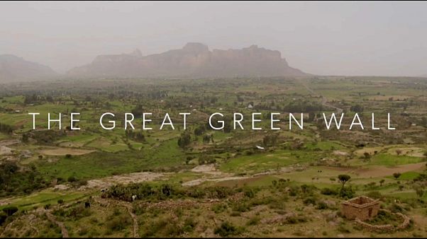 The Great Green Wall: a journey to the front line of the climate crisis. The Great Green Wall: a journey to the front line of the climate crisis.