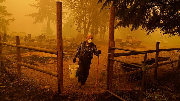 George Coble carries a bucket of water to put out a tree still smoldering on his property destroyed by a wildfire Saturday, Sept. 12, 2020, in Mill City, Ore.