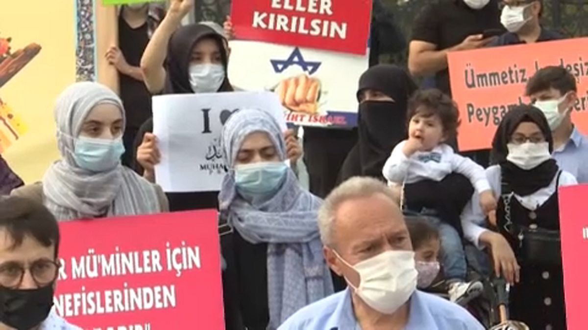 "Макрон заплатит высокую цену": протесты в Стамбуле