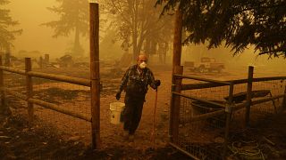 George Coble carries a bucket of water to put out a tree still smoldering on his property destroyed by a wildfire Saturday, Sept. 12, 2020, in Mill City, Ore. 