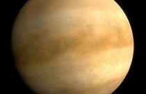 Les nuages de Vénus abritent un gaz provenant peut-être d'une forme de vie
