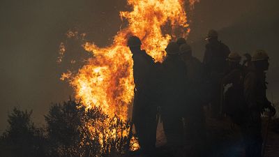 Les "feuilles mortes", cause des incendies américains selon Donald Trump
