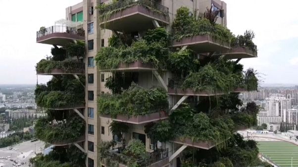 مشروع سكني أخضر صديق للبيئة في الصين مشروع سكني أخضر صديق للبيئة في الصين