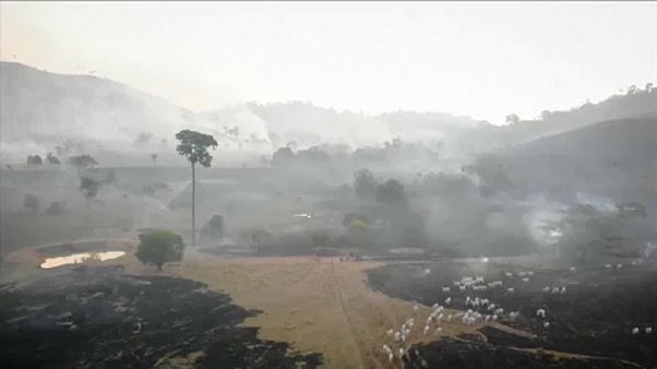 Nuvens de fumo cobrem vastas áreas de mato e floresta