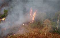آتش‌سوزی در برزیل بخشی از بزرگترین تالاب استوایی جهان را می‌سوزاند