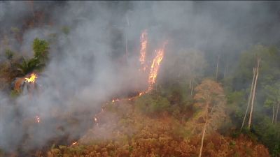 آتش‌سوزی در برزیل بخشی از بزرگترین تالاب استوایی جهان را می‌سوزاند