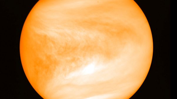 Venus Venus