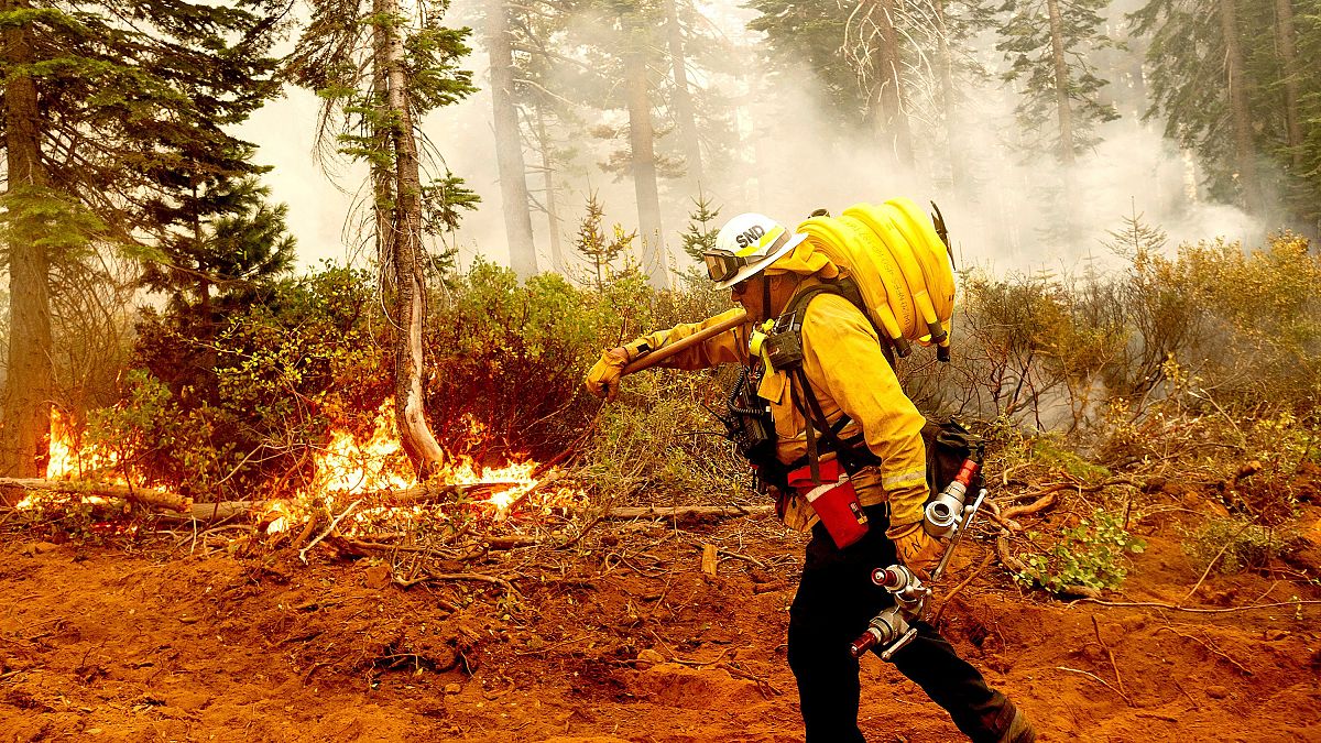 ABD'de orman yangınları
