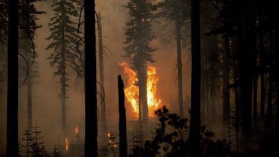 At least 25 wildfires are burning in the US state of California.
