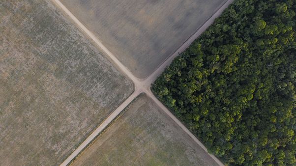 Biodiversité : agir tant qu'il est encore temps prévient l'ONU Biodiversité : agir tant qu'il est encore temps prévient l'ONU