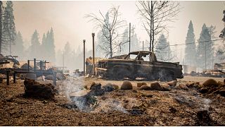 حرائق الغابات في الولايات المتحدة