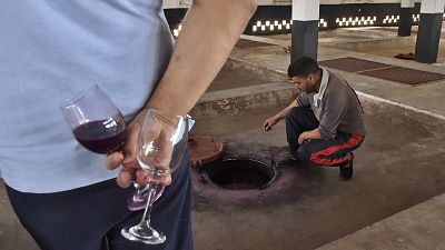 صناعة النبيذ في الجزائر تعاني بسبب كوفيد-19