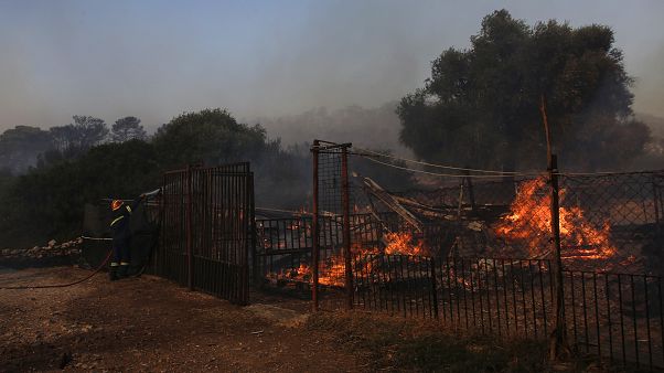 ΓΙΑΝΝΗΣ ΚΟΛΕΣΙΔΗΣ ΓΙΑΝΝΗΣ ΚΟΛΕΣΙΔΗΣ