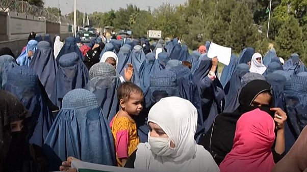 تصویر از ویدیو تصویر از ویدیو