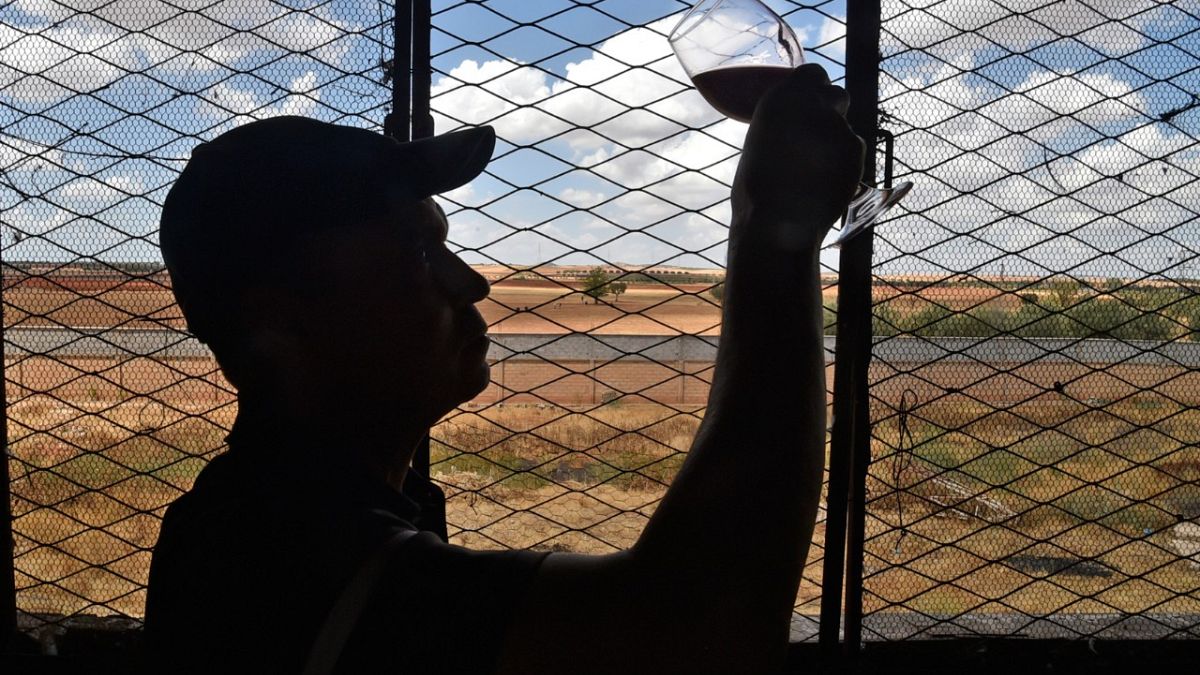 Mitarbeiter prüft Wein in Sidi Bel Abbès