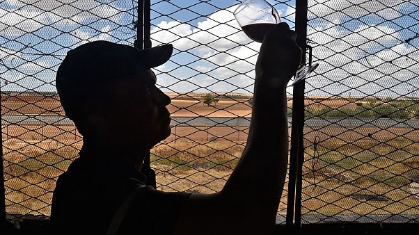Mitarbeiter prüft Wein in Sidi Bel Abbès Mitarbeiter prüft Wein in Sidi Bel Abbès