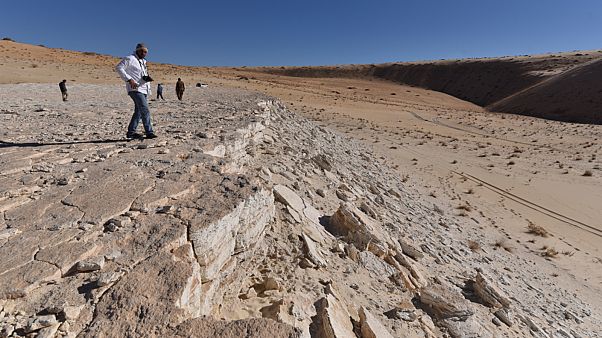 السعودية نيوز | 
    علماء يكتشفون آثار أقدام تعود إلى 120 ألف عام في السعودية
