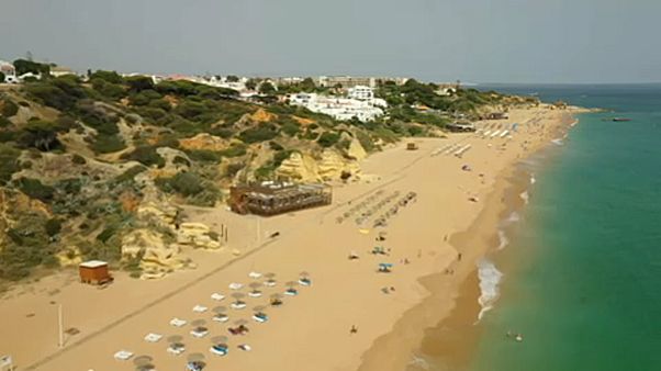 Surto pode não ter tido origem em Portugal Surto pode não ter tido origem em Portugal