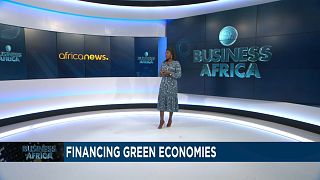 Fighting Climate Change in Africa With Innovative Financing {Business Africa}