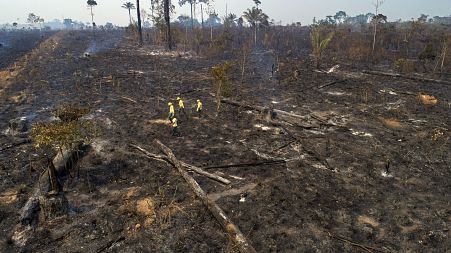 Experts say fires are pushing the world's largest rainforest toward a tipping point, after which it will cease to generate enough rainfall to sustain itself.