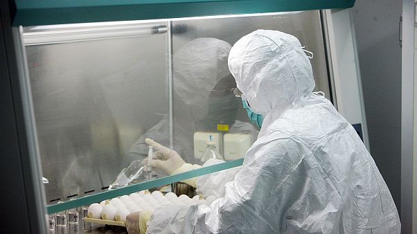 Çin'de yayılan brusella bakteris Çin'de yayılan brusella bakteris