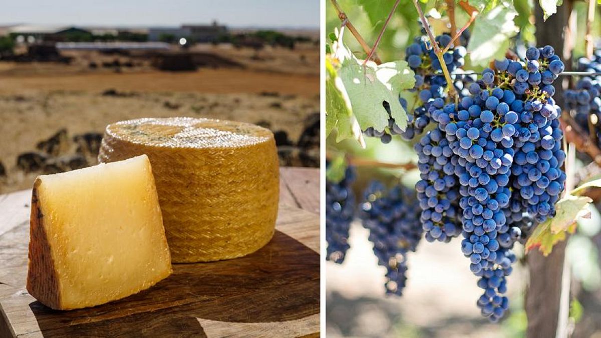 Spagna: 7 matrimoni di gusto fra vino e formaggio