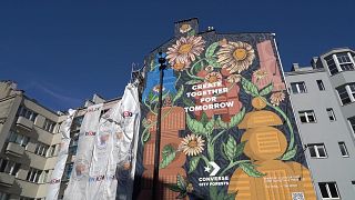 The floral mural in Warsaw, Poland