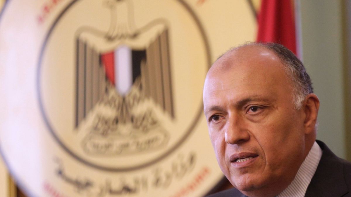 Mısır Dışişleri Bakanı Şokri