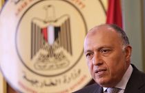 Mısır Dışişleri Bakanı Şokri