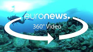 euronews