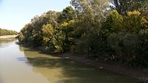 La construcción de una presa amenaza a los bosques aluviales protegidos de Hungría