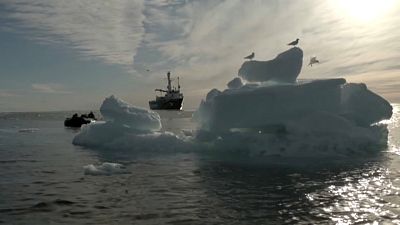 Meereis der Arktis schrumpft
