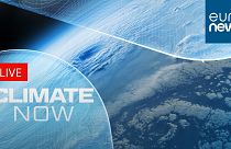 AI has also become key for scientists in predicting extreme weather.