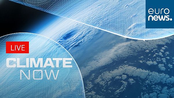 AI has also become key for scientists in predicting extreme weather. AI has also become key for scientists in predicting extreme weather.