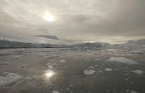 Melting Arctic sea ice