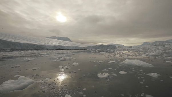 VIDEO : Global warming shrinks Arctic sea ice to near-record level - Euronews