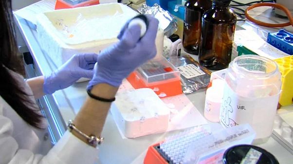اختبار لقاح في إسبانيا اختبار لقاح في إسبانيا