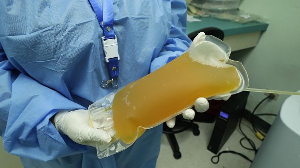 Vlutplasma (Archiv) Vlutplasma (Archiv)