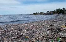 شاهد: إزالة قمامة جرفتها أمواج البحر على طول الساحل الكاريبي في هندوراس