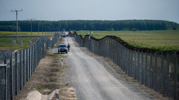 Katonák járőrőznek a határzár mellett a magyar-szerb határon 2020. július 16-án. Katonák járőrőznek a határzár mellett a magyar-szerb határon 2020. július 16-án.